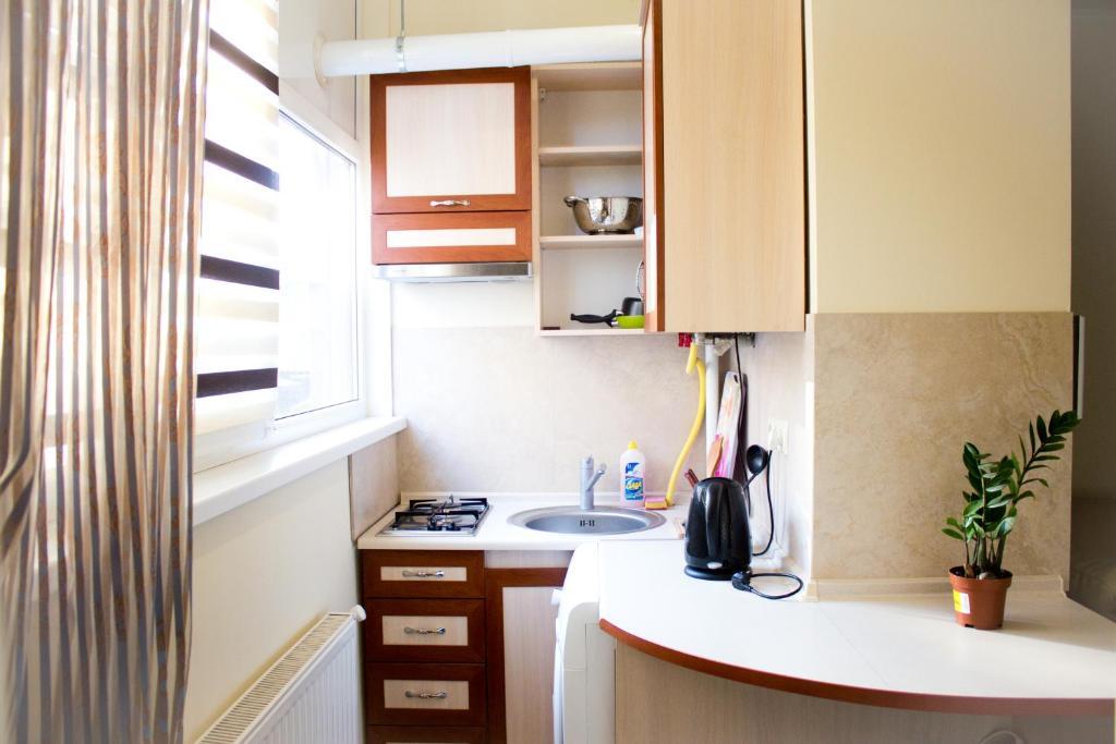 Apartments Deluxe Ivano-Frankivsk Rom bilde